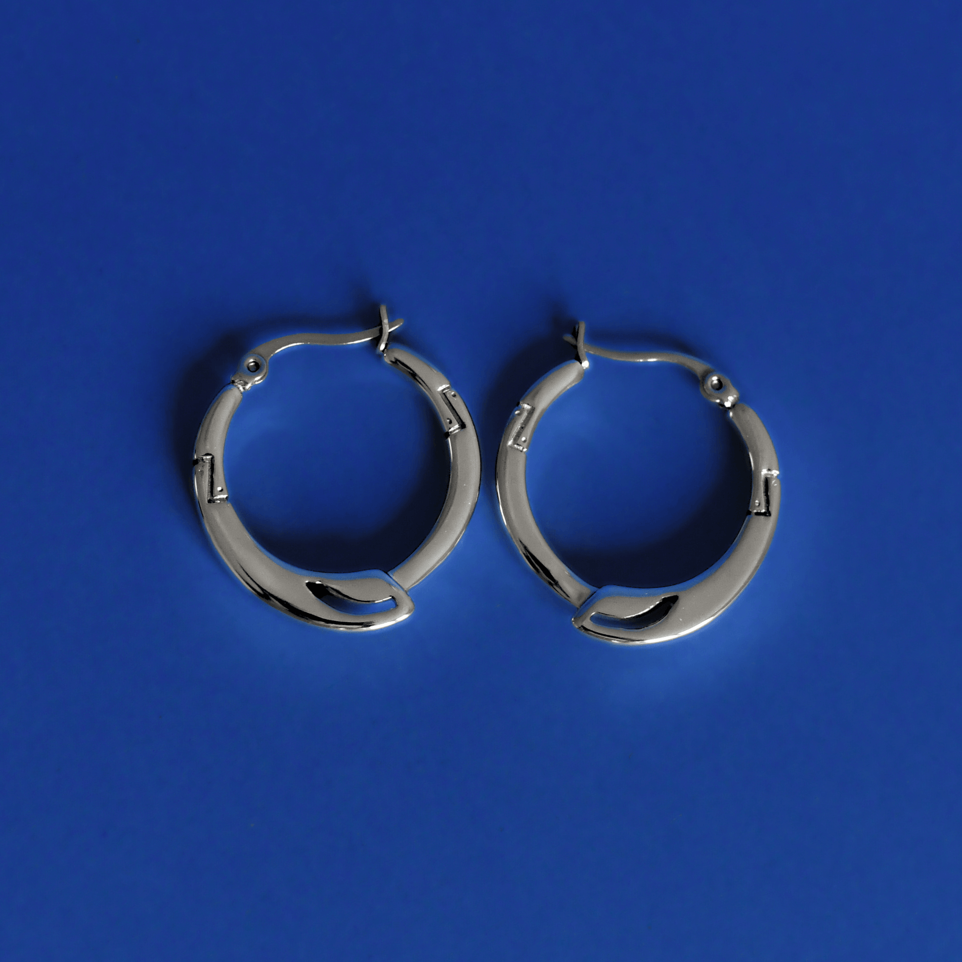 TRESSE stainless steel unique earrings in silver - Alogan